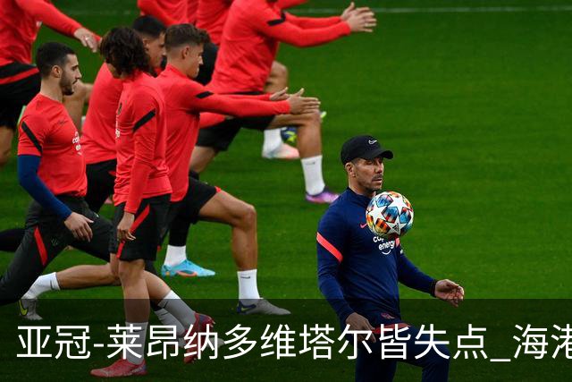 亚冠-莱昂纳多维塔尔皆失点 海港爆冷2-3河内公安遭首败