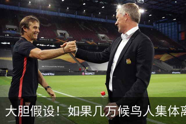 大胆假设！如果几万候鸟人集体离开坡月，后果真的不堪设想