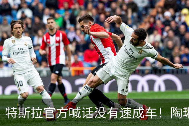 特斯拉官方喊话没有速成车！陶琳：让人安心是最大的豪华