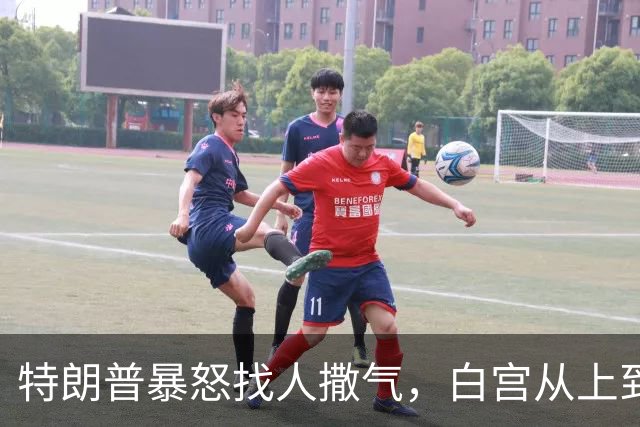 特朗普暴怒找人撒气，白宫从上到下都在挨骂，他知道自己必败无疑